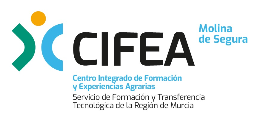 Logo CIFEA de Molina de Segura